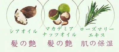 ルビオナカラー オイルカラー